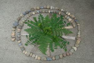 CIRCLE FERNS